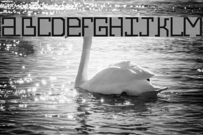 Alphecca Polices examples