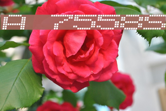 Alpine 7558S Font examples