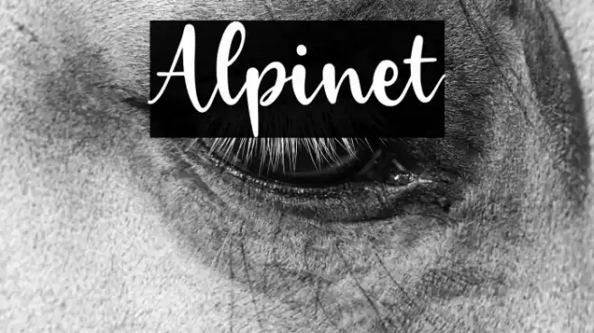 Alpinet Font examples
