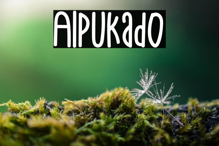 Alpukado Example 1