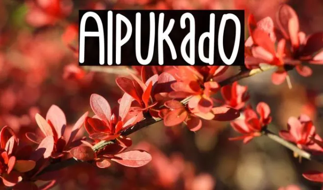 Alpukado Example 2