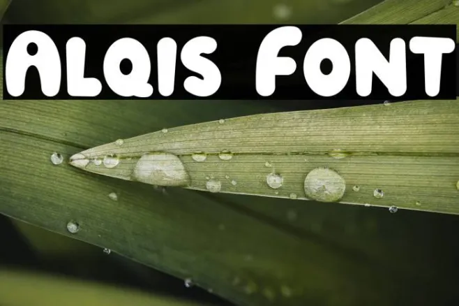 Alqis Example 3