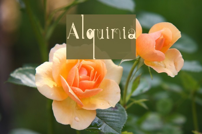 Alquimia Font examples