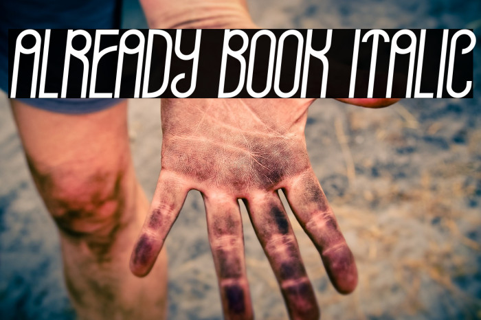Already Book Italic Font examples