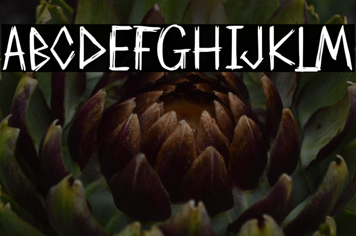 Already Broken Dull Demo Versio Example 1