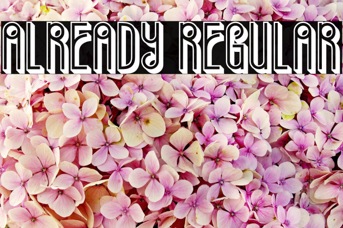 Already Regular Font examples