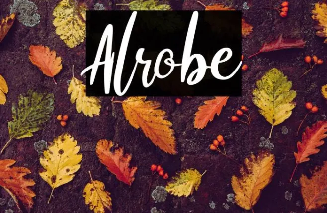 Alrobe Example 3