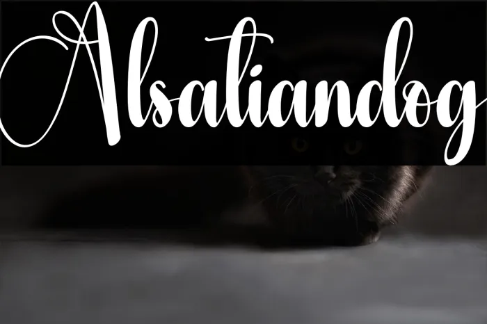 Alsatiandog Example 1