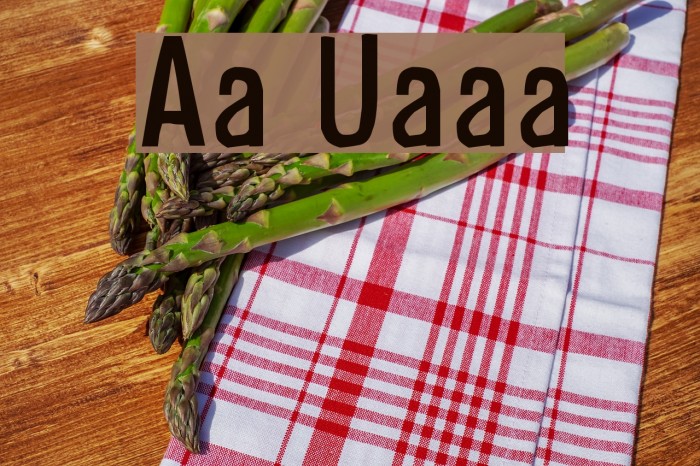 Alsina Ultrajada Font examples