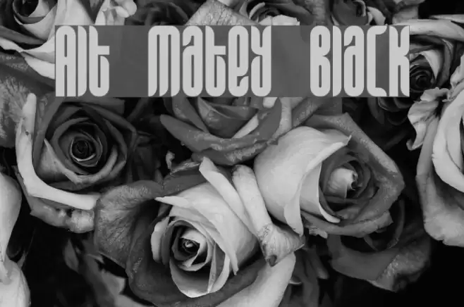 Alt Matey Black Font examples