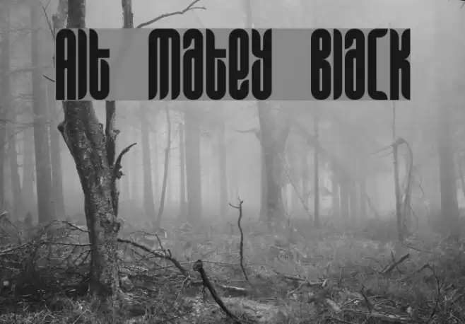 Alt Matey Black Font examples