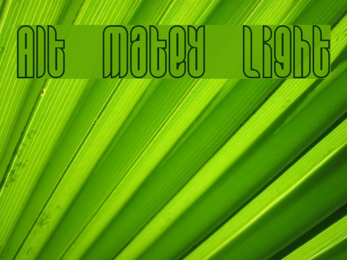 Alt Matey Light Font examples