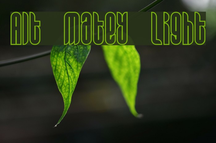 Alt Matey Light Font examples