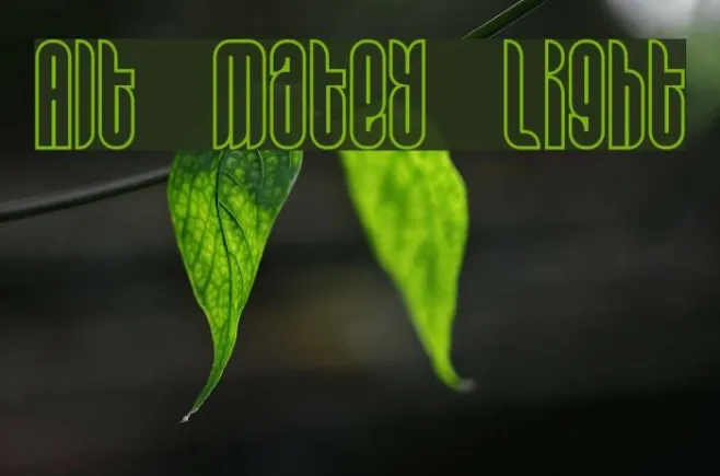 Alt Matey Light Example 2