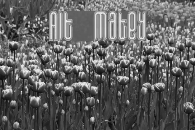 Alt Matey Schriftart examples