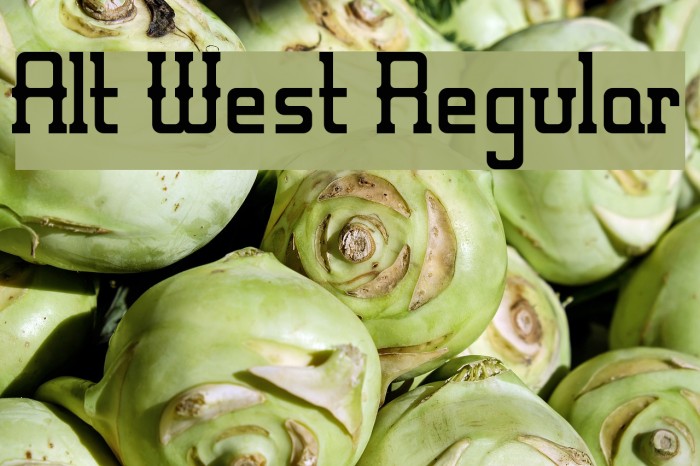 Alt West Regular Example 3