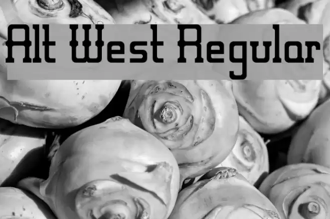 Alt West Regular Font examples