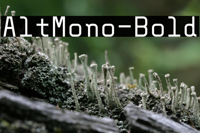 AltMono-Bold Example 2