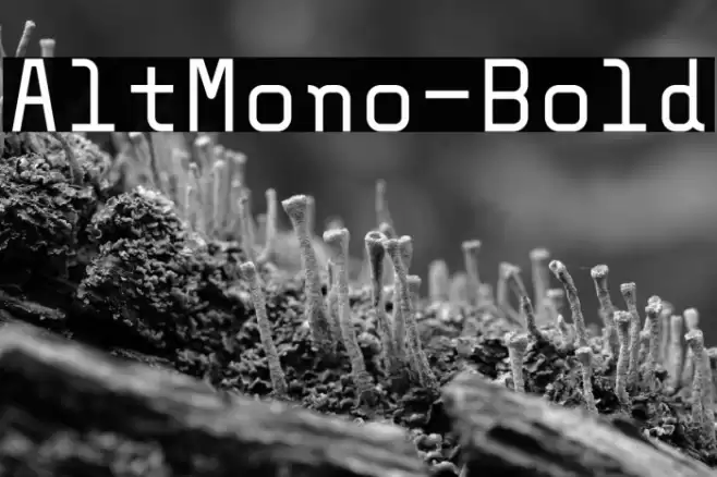 AltMono-Bold Polices examples