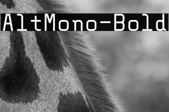 AltMono-Bold Polices examples