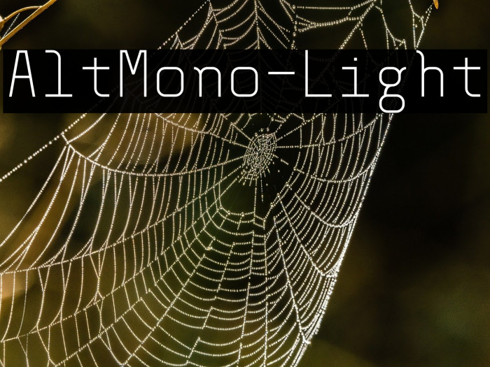 AltMono-Light Example 1