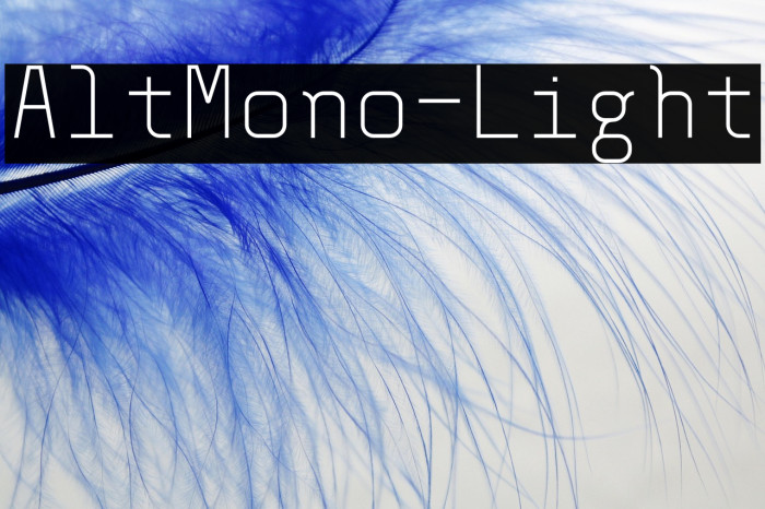 AltMono-Light Example 3