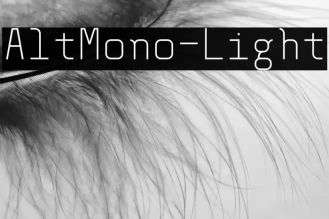 AltMono-Light Font examples