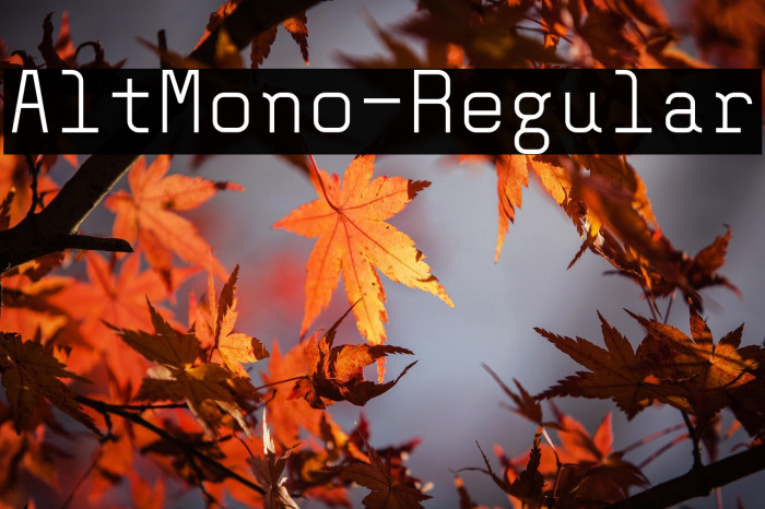 AltMono-Regular Example 1