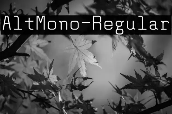 AltMono-Regular Font examples