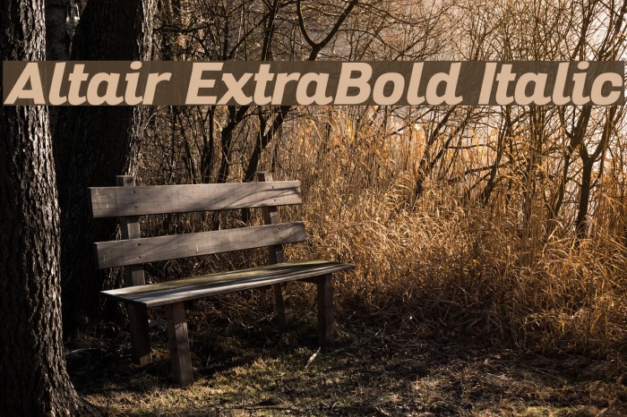 Altair ExtraBold Italic Font examples