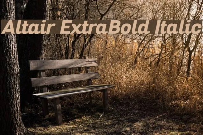 Altair ExtraBold Italic Example 3
