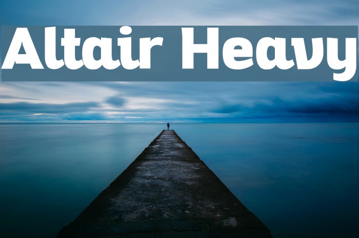 Altair Heavy Example 1