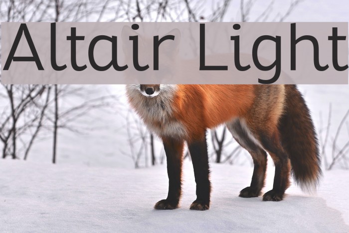 Altair Light Font examples