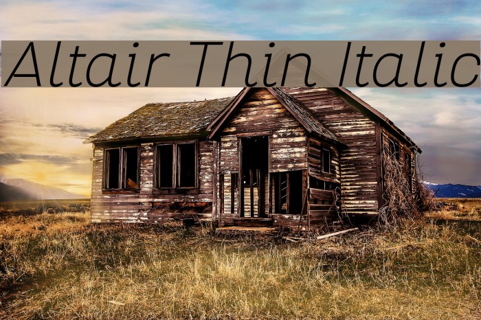 Altair Thin Italic Font examples