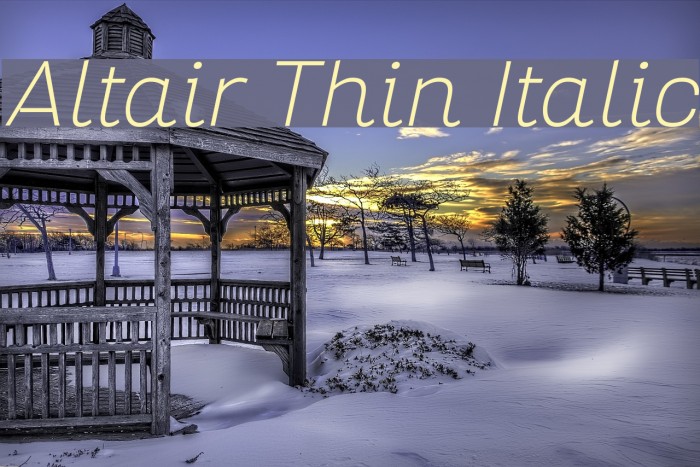 Altair Thin Italic Font examples