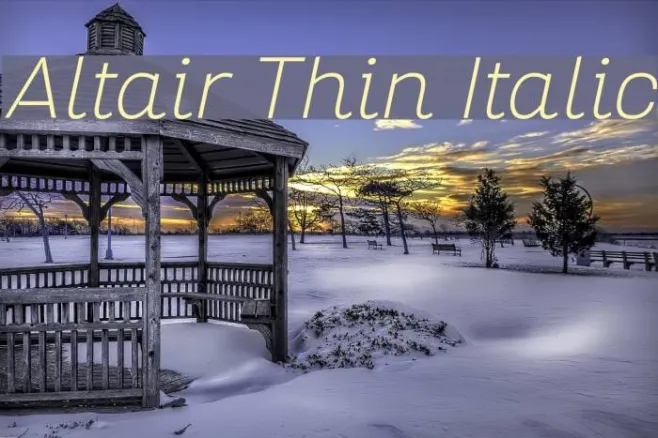 Altair Thin Italic Example 2