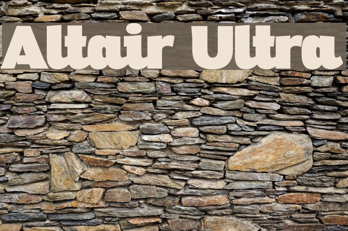 Altair Ultra Example 3