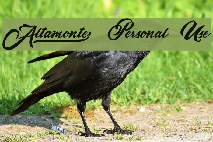 Altamonte[ Personal Use Font examples