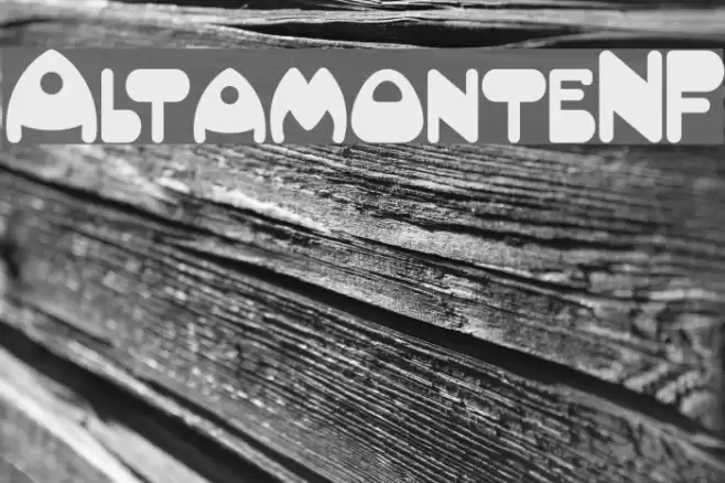 AltamonteNF Font examples