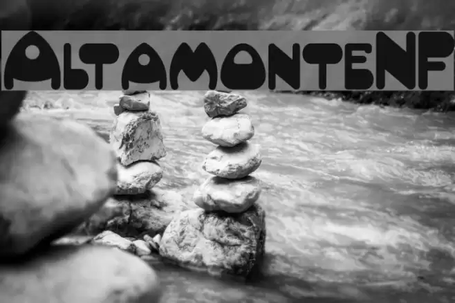 AltamonteNF Font examples