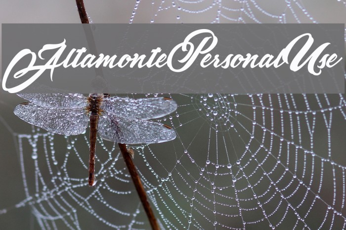 AltamontePersonalUse Font examples