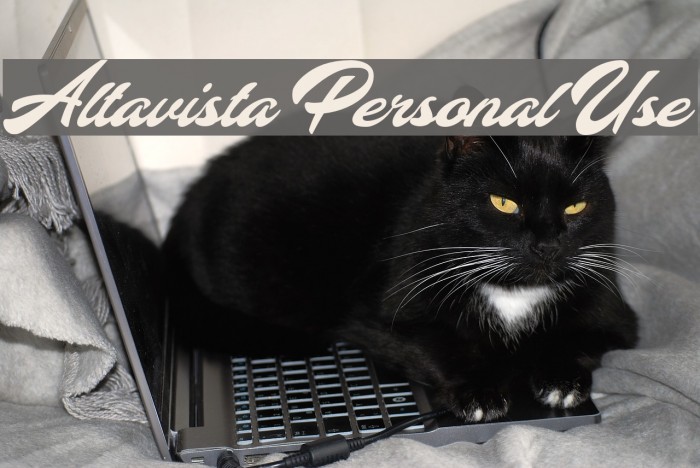 Altavista Personal Use Font examples