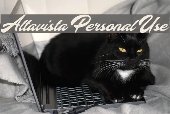 Altavista Personal Use Example 1