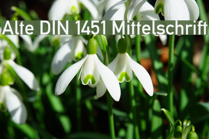 Alte DIN 1451 Mittelschrift Font examples