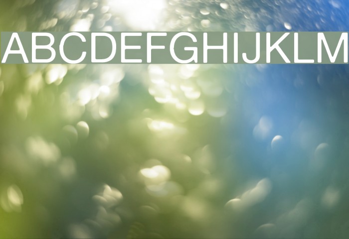 Alte Haas Grotesk Font examples