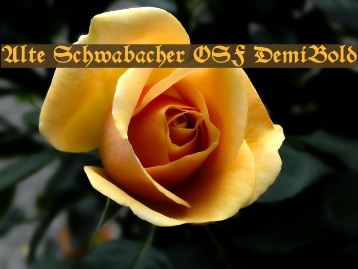 Alte Schwabacher OSF DemiBold Font examples