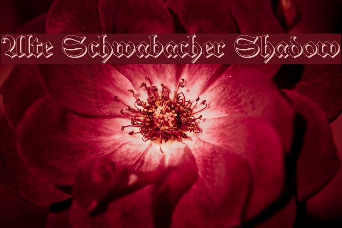 Alte Schwabacher Shadow Font examples