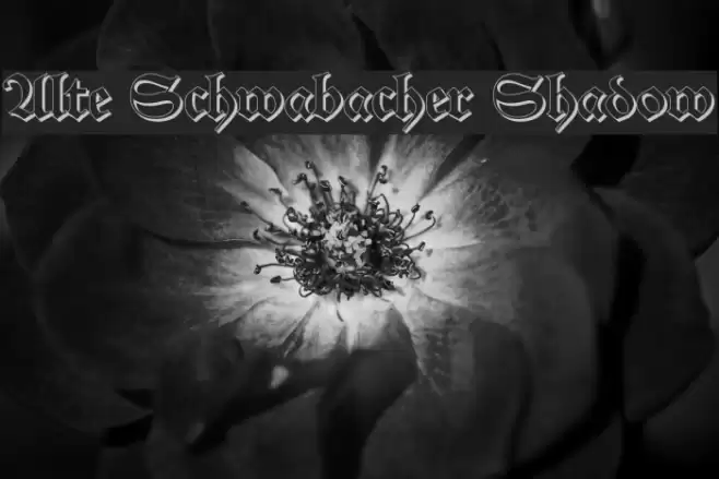 Alte Schwabacher Shadow Font examples