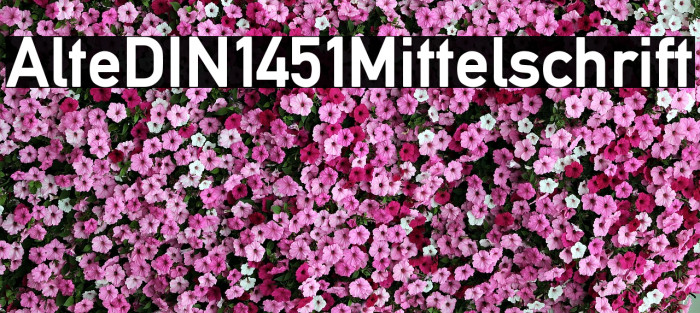 AlteDIN1451Mittelschrift Font examples