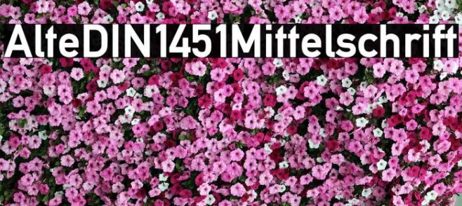 AlteDIN1451Mittelschrift Example 1